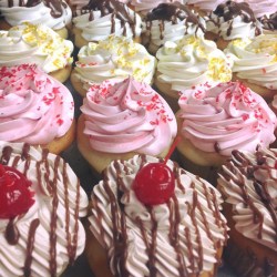 18671038_1486035741462074_338194152083685676_n